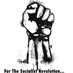 Socialism Iron Fist